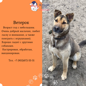 Ветерок2