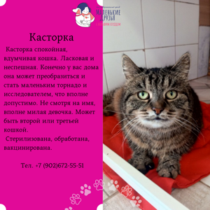 Касторка4