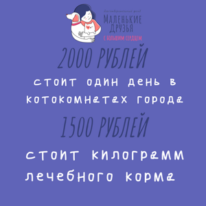 Пастельная Осень Instagram Публикация, копия(9)