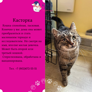 Касторка6